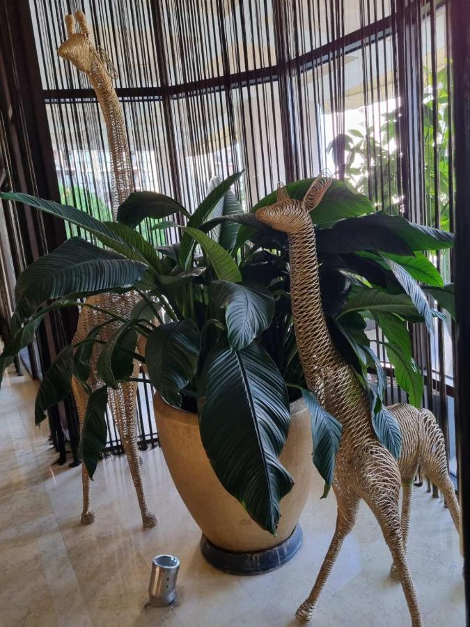 Royal Beach Apartment Barcello B サニービーチ エクステリア 写真